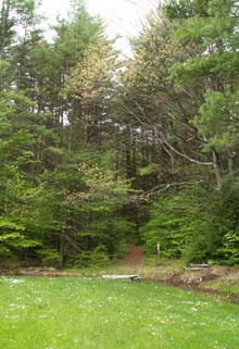 Ohlson Field and Round-the-Mountain Trail (photo by Webmaster)