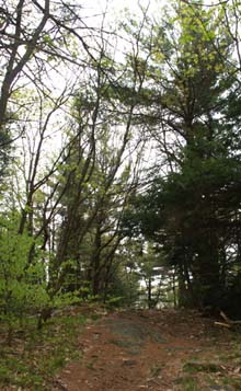 Metacomet-Monadnock Trail near Mount Grace's summit (photo by Webmaster)
