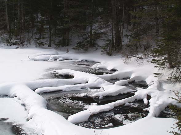 Water at northern end of upper Greeley Pond (photo by Webmaster)