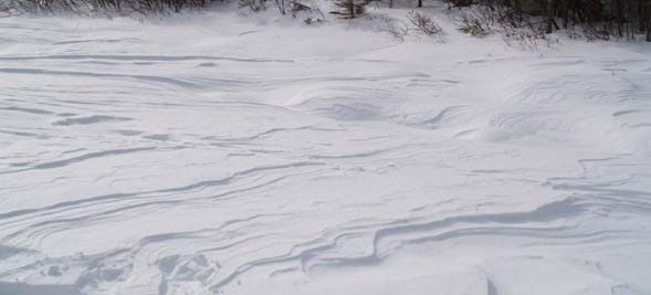 Wind-sculpted snow on lower Greeley Pond (photo by Webmaster)