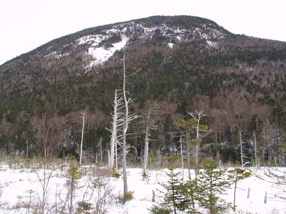 Mt. Kancamagus from the northern end of lower Greeley Pond (photo by Webmaster)
