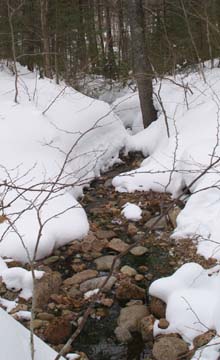 Brook (photo by Webmaster)