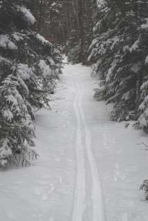 Greeley Ponds Trail (photo by Burt Hemp)