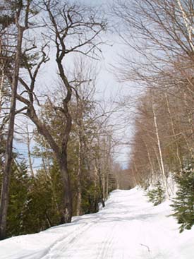 Long Pond Road looking north (photo by Webmaster)