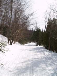 Long Pond Road looking south (photo by Webmaster)