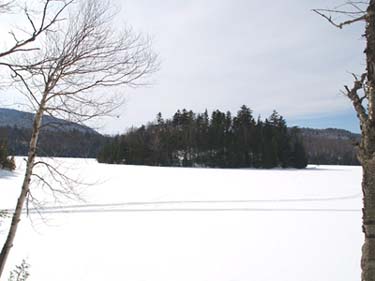 Island in Long Pond (photo by Webmaster)