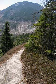 Trail and view (photo by SDH)