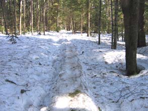 "Balance-beam" snow trail (photo by SDH)