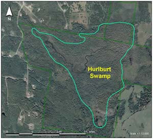 Hurlbert Swamp color aerial photo