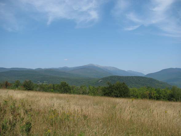 View from the field (photo by Karl Searl)