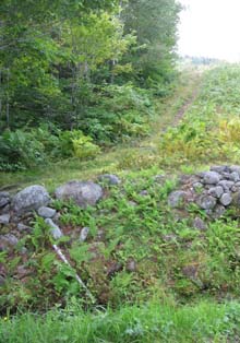 Trailhead (photo by Karl Searl)
