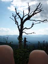 "Dead" hiker taking photographs from a reclined position (photo by Kathy Astrauckas)