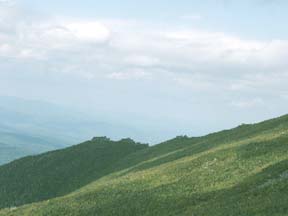 Mt. Jefferson crenellated ridge (photo by Kathy Astrauckas)
