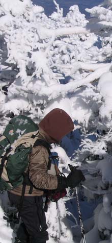 Diane on the trail (photo by Mark Malnati)