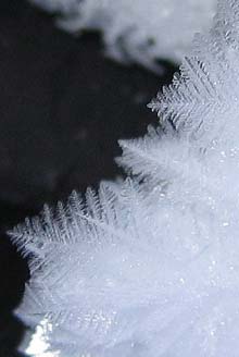 Ice crystals with a black glove used as the background (photo by Mark Malnati)
