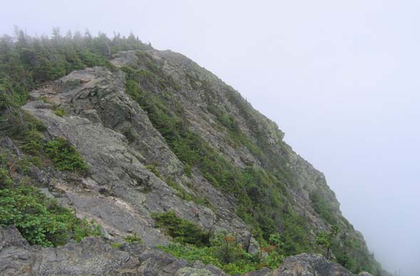 Trail on Mt. Flume (photo by Mark Malnati)