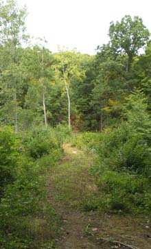 Path across the dam (photo by Webmaster)