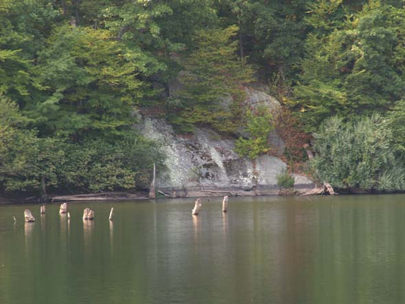 Far shore of pond opposite the dam (photo by Webmaster)