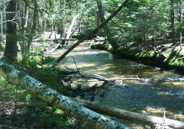 Jordan Stream (photo by Chip Lary)