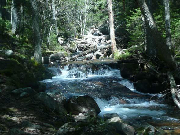 Jordan Stream (photo by Chip Lary)