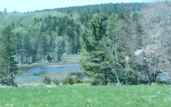 Little Long Pond (photo by Chip Lary)
