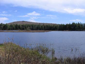 Pond at Pillsbury State Park (photo by Mark Malnati)