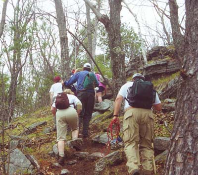 On the trail (photo by Sal Silvestre)