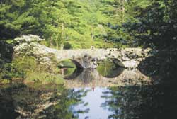 Maudslay State Park (photo courtesy of Maudslay State Park)