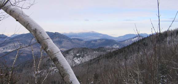 Mt. Washington in the distance (photo by Mark Malnati)