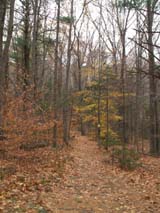 Parker Trail (photo by Webmaster)