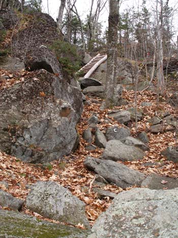 Ladder on Cliff Walk trail (photo by Webmaster)