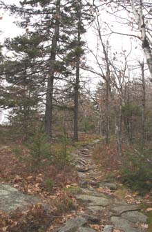 Cliff Walk, shortly above the giant ladder (photo by Webmaster)