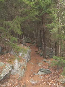 Cliff Walk shortly after the junction with Hello Rock Trail (photo by Webmaster)