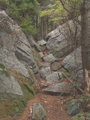 Cliff Walk trail (photo by Webmaster)