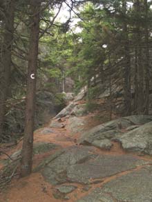 Cliff Walk trail (photo by Webmaster)