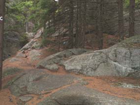 Cliff Walk trail (photo by Webmaster)