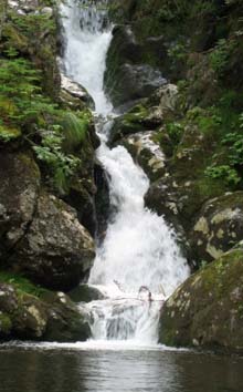 Waterfall (photo by Claudette Raymond)