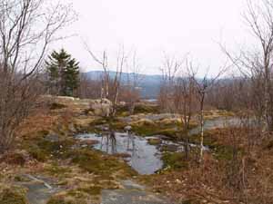 Moose Mountain summit (photo by Webmaster)