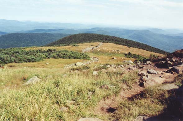 View from the summit of Mt. Moosilauke (photo by Webmaster)