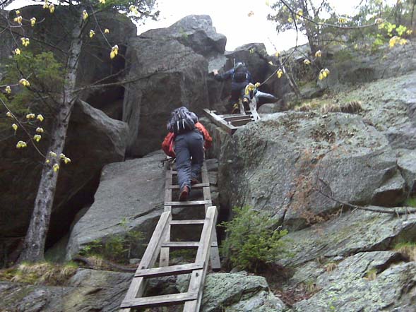 Ladders leading up to Mt. Morgan (photo by Diane King)
