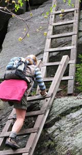 Diana climbing the ladders on Mt. Morgan's ledges (photo by Mark Malnati)