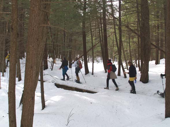 SDH crossing a bridge on Huckins Orchard Trail (photo by Webmaster)