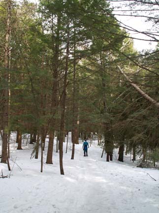 Lake Trail (photo by Webmaster)