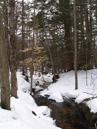 Tucker Brook (photo by Webmaster)
