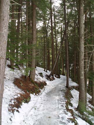Lake Trail (photo by Webmaster)