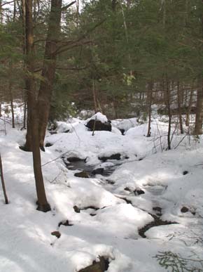 Brook between Lake Trail and Dashing Down Road (photo by Webmaster)