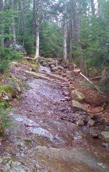 Trail (photo by Bill Mahony)