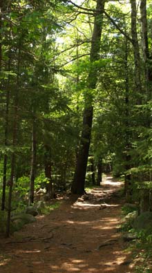 Pemetic Mountain Northeast Trail (photo by Webmaster)