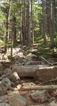Rocky Pemetic Mountain Northeast Trail (photo by Webmaster)