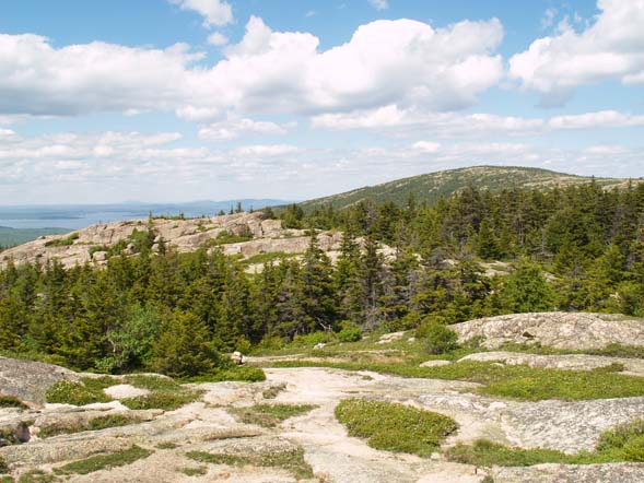 View from Pemetic Mtn. (photo by Webmaster)